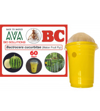 Ava Combo Pack Of Glass Pheromone Trap + BC Lure
